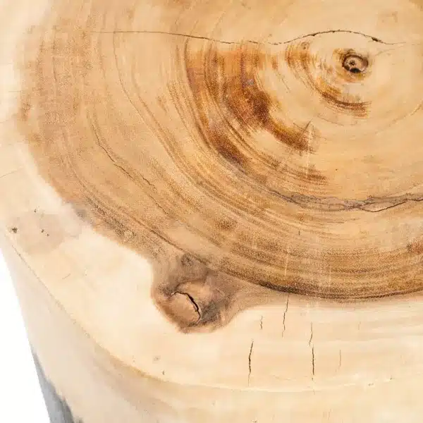 tabouret pièce unique fait main en bois de suar