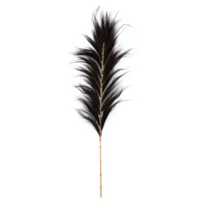 superbe feuille noir lot de 6
