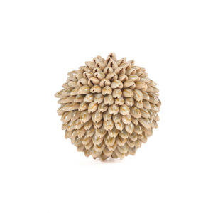Boule décorative en coquillages Oluolu - S — vue 2