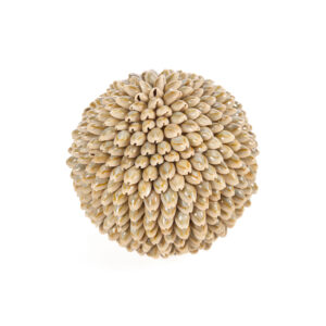 Boule décorative en coquillages Oluolu - L — vue 2