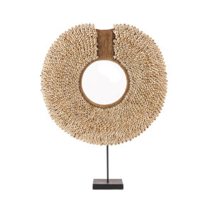 Réunion de coquillages sur pied – Naturel