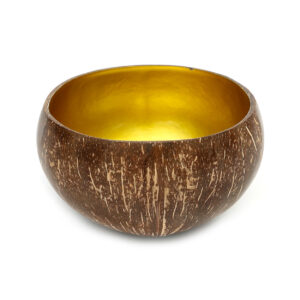 Bol en noix de coco naturel doré