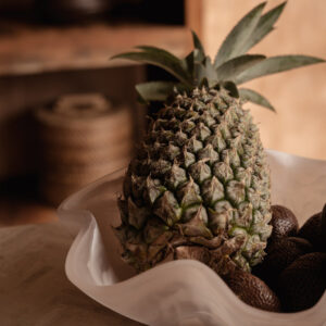Coupe à fruits en résine – Rose & Blanc