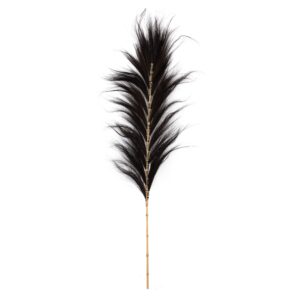 La Feuille Spectaculaire - Noire