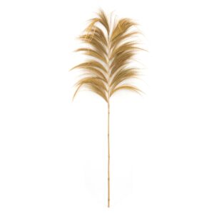Herbe de Pampa Géante - Sable