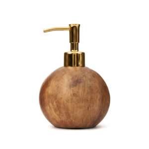 Distributeur de savon en noix de coco