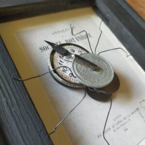 Araignée du Temps