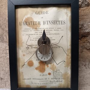 Araignée du Temps, détail 1
